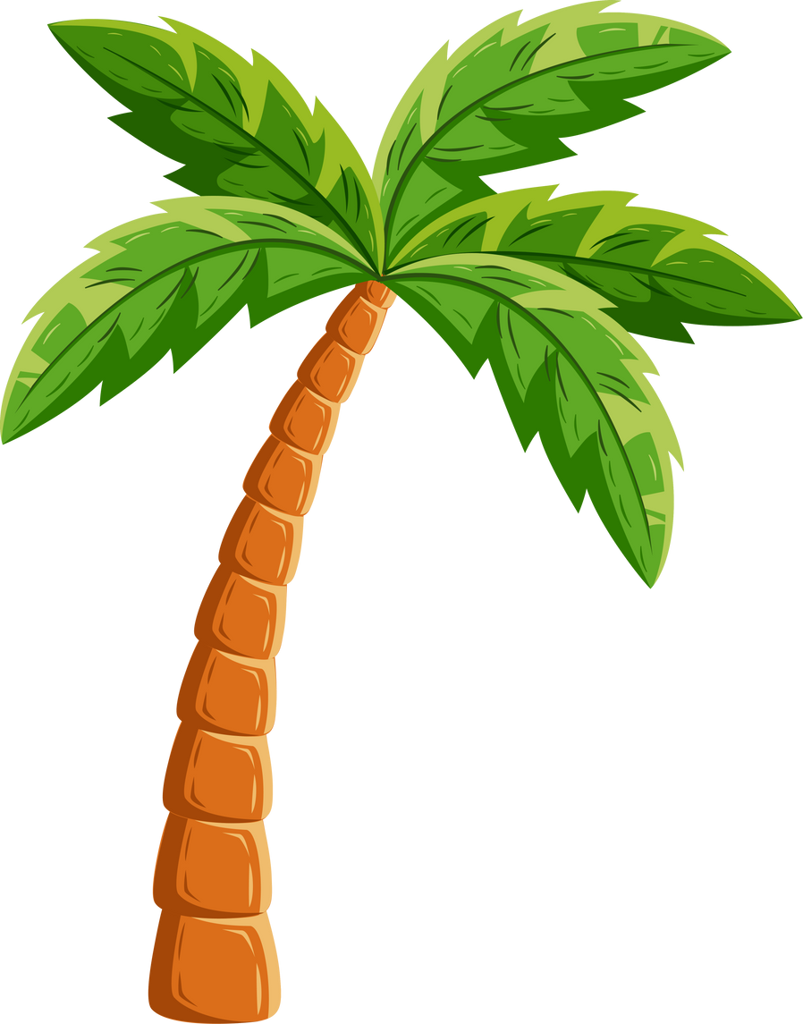 Palm tree cartoon